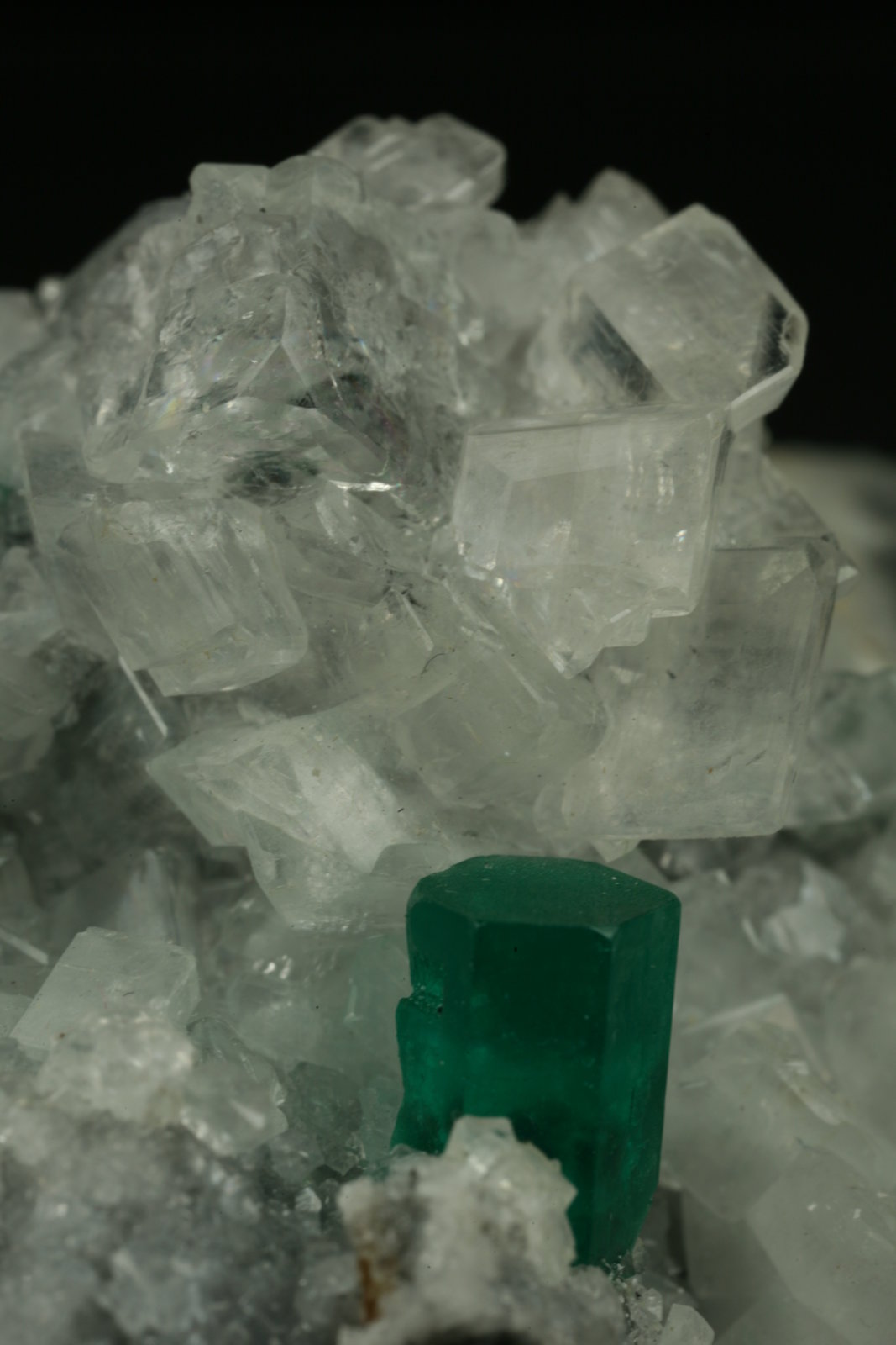 Beryl (variety emerald), Calcite, Parisite
70x45x50mm - Detail
(Autor: Fiebre Verde)