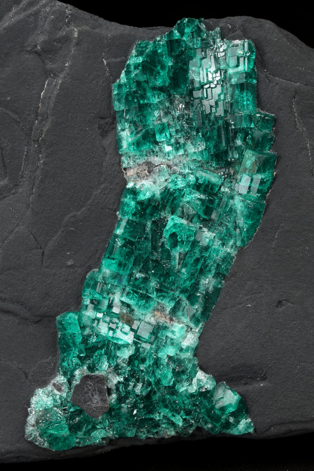 Beryl (variety emerald)
90x57x49mm
(Autor: Fiebre Verde)