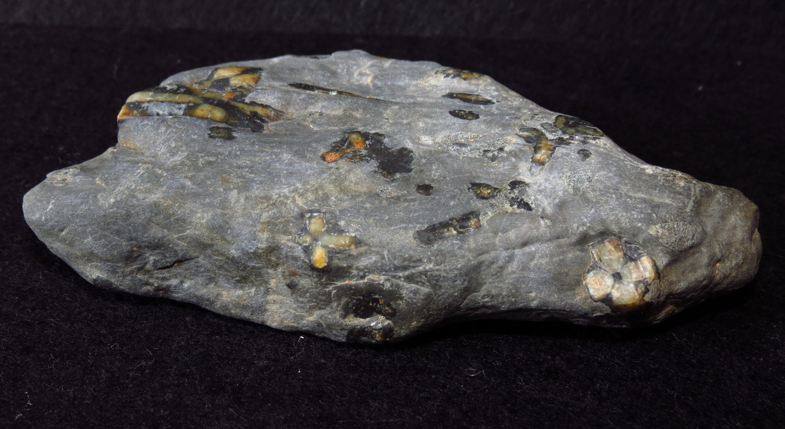 Andalusite (variety chiastolite)
5 inches long
(Autor: NellsRocks)