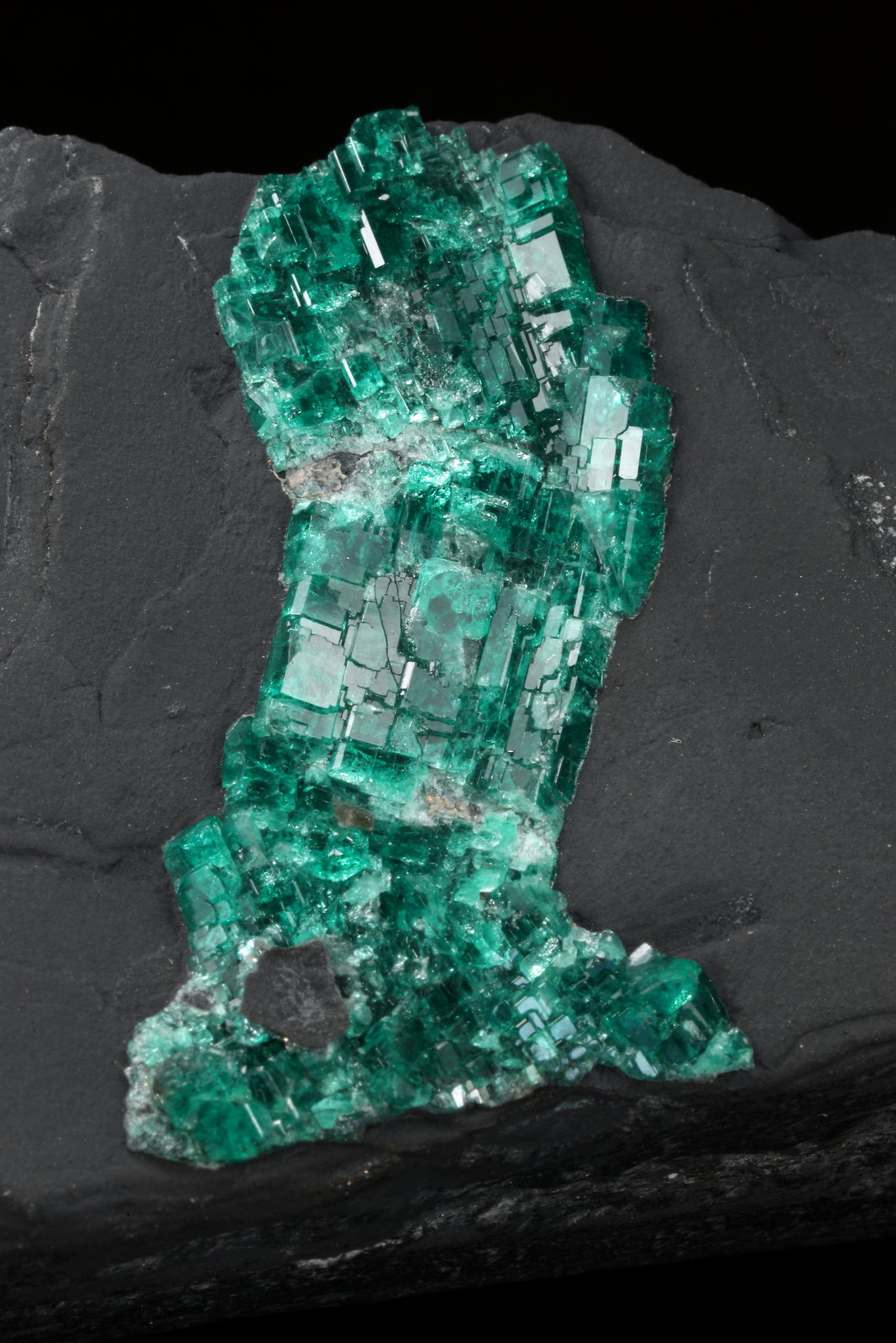 Beryl (variety emerald)
90x57x49mm
(Autor: Fiebre Verde)