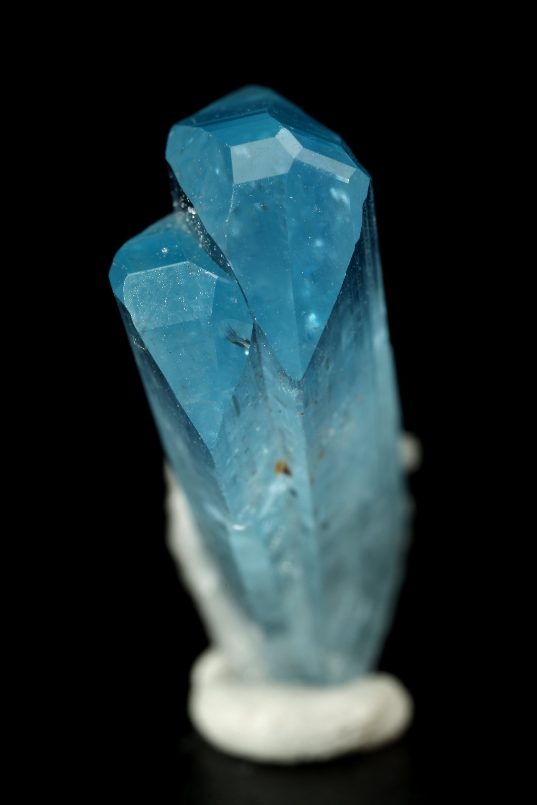 Euclase, Albite (variety cleavelandite)
10x21x7mm
(Autor: Fiebre Verde)