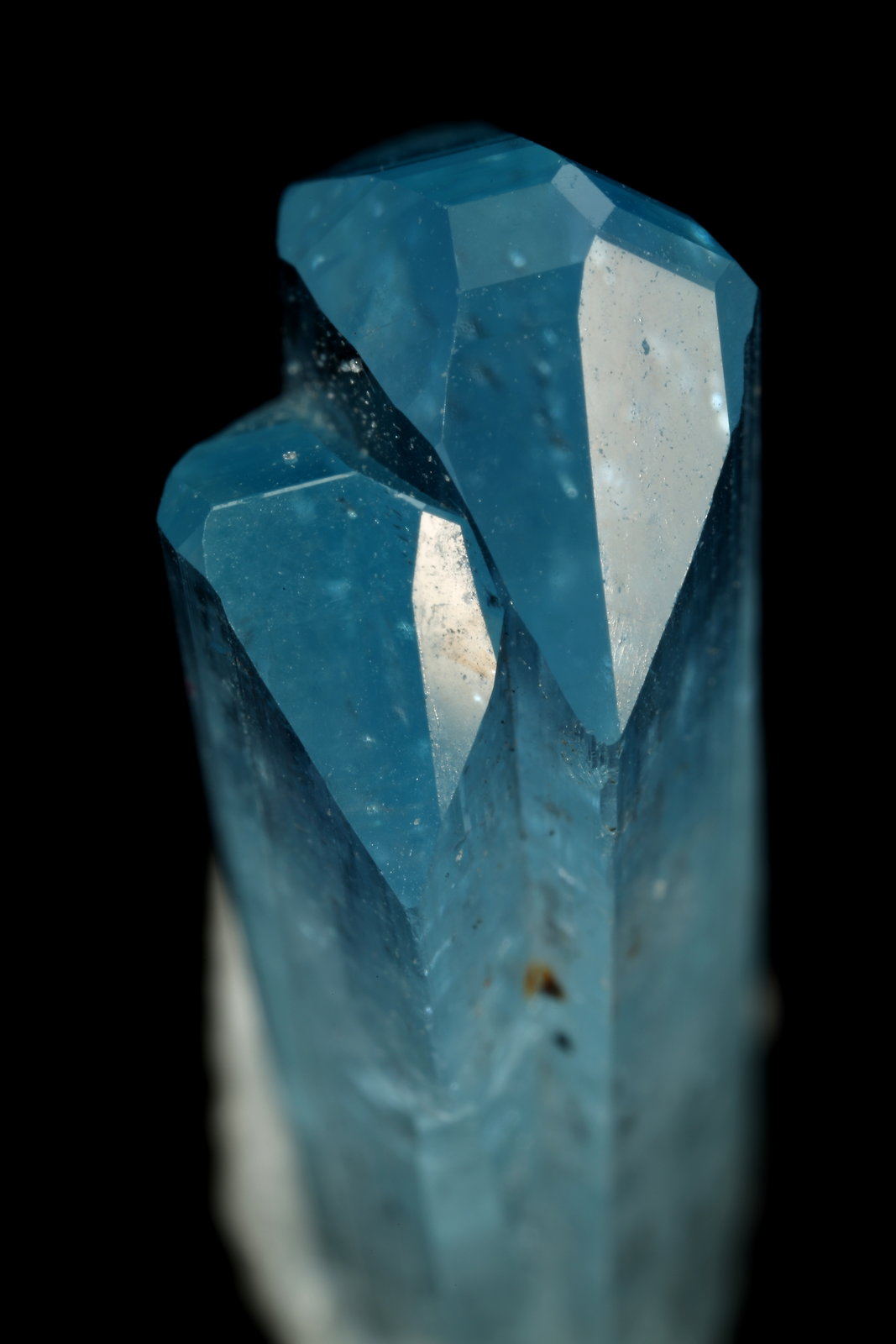 Euclase, Albite (variety cleavelandite)
10x21x7mm
(Autor: Fiebre Verde)