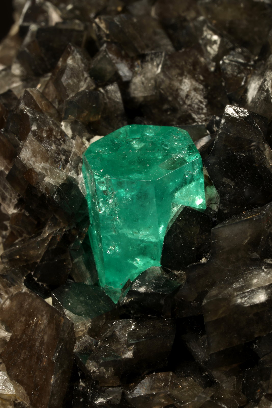 Beryl (variety emerald), Calcite, Pyrite
78x53x78mm, xls= 11x9mm & 15x12mm
(Autor: Fiebre Verde)