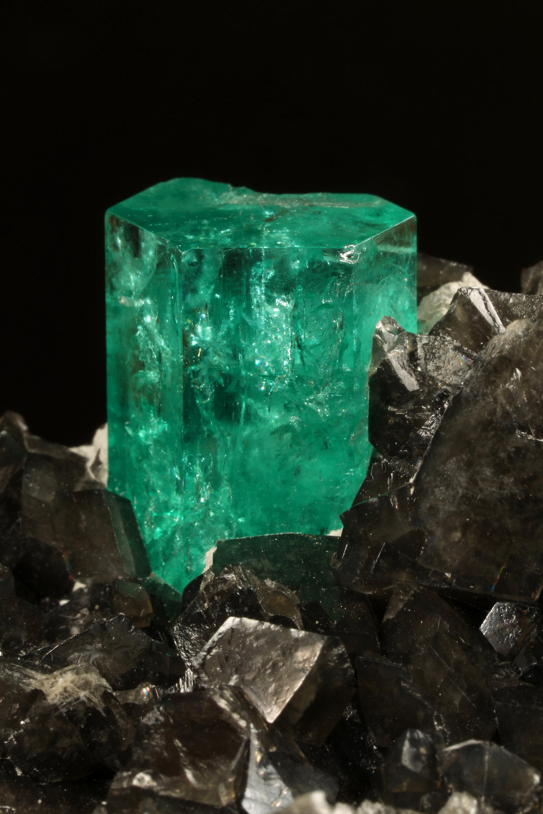 Beryl (variety emerald), Calcite, Pyrite
78x53x78mm, xls= 11x9mm & 15x12mm
(Autor: Fiebre Verde)