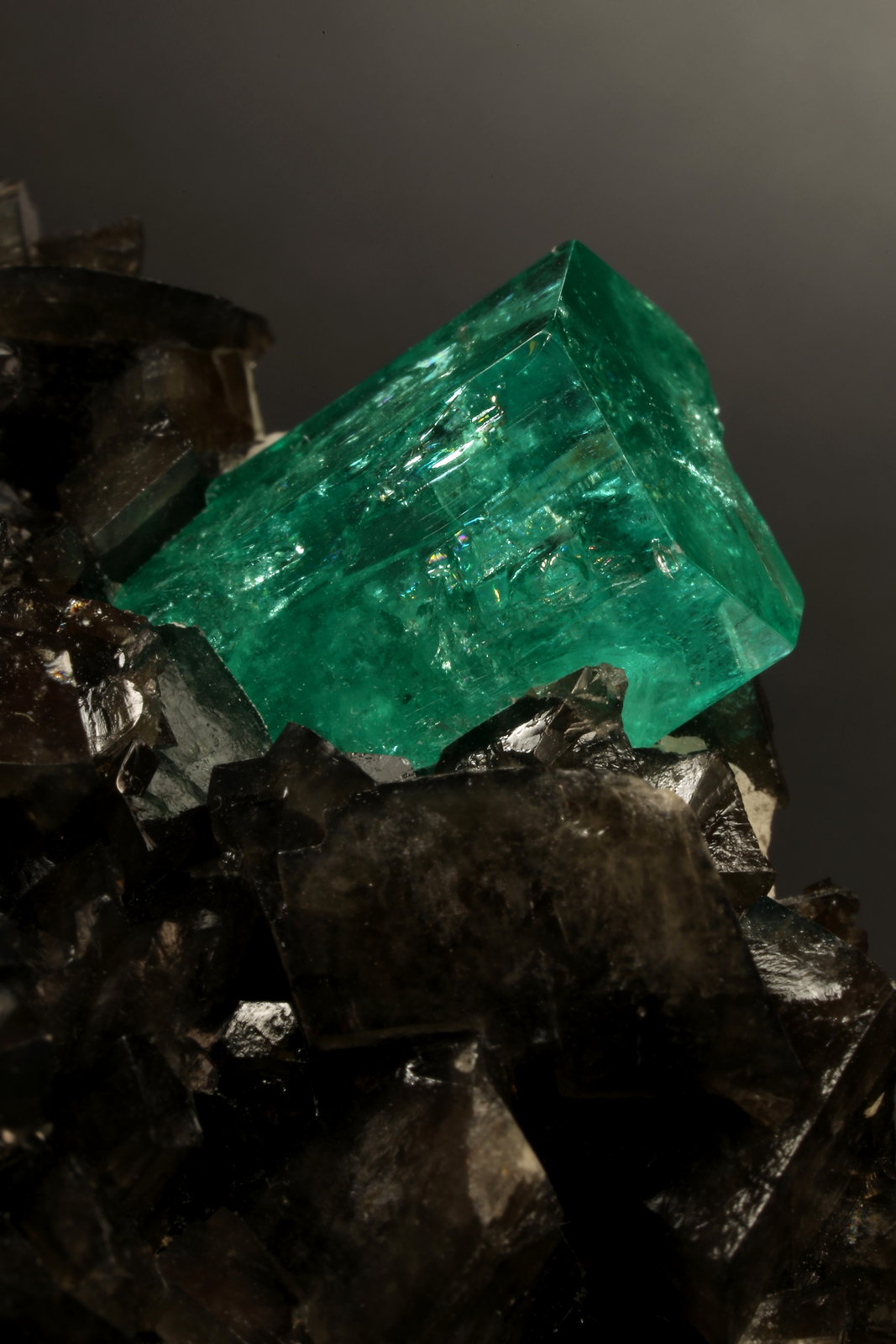 Beryl (variety emerald), Calcite, Pyrite
78x53x78mm, xls= 11x9mm & 15x12mm
(Autor: Fiebre Verde)