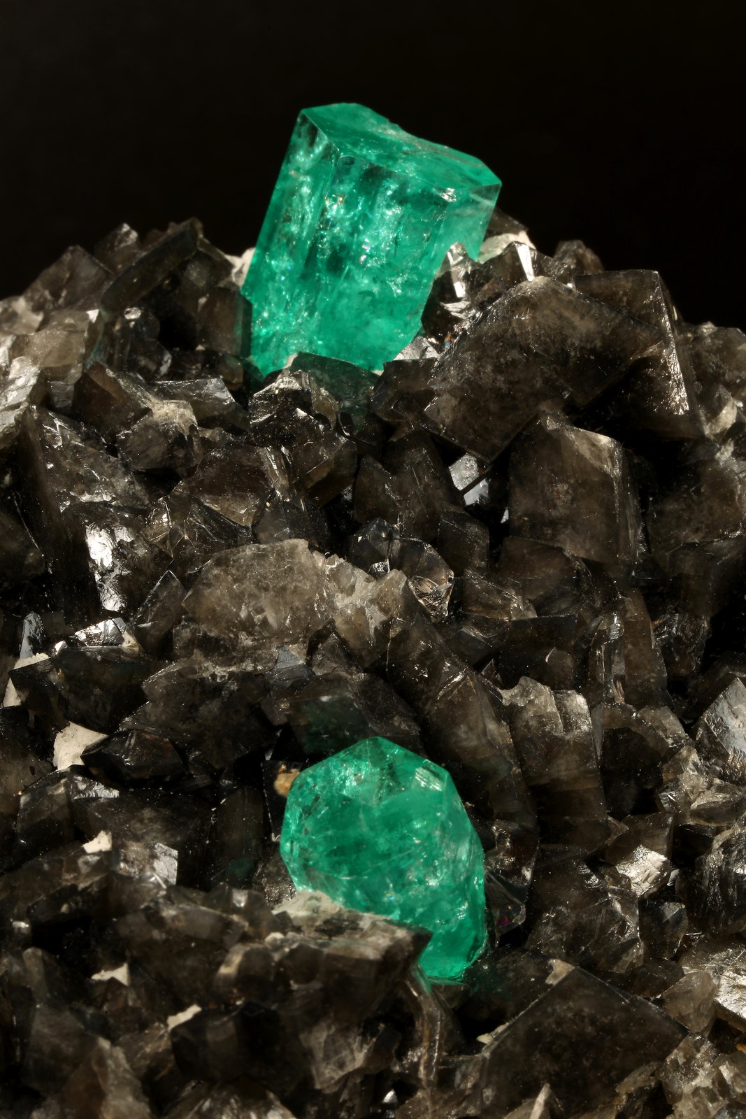 Beryl (variety emerald), Calcite, Pyrite
78x53x78mm, xls= 11x9mm & 15x12mm
(Autor: Fiebre Verde)