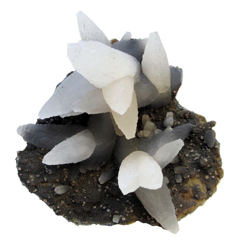 Calcite
Specimen size 10 cm, largest calcites 5,5 cm
(Autor: Tobi)