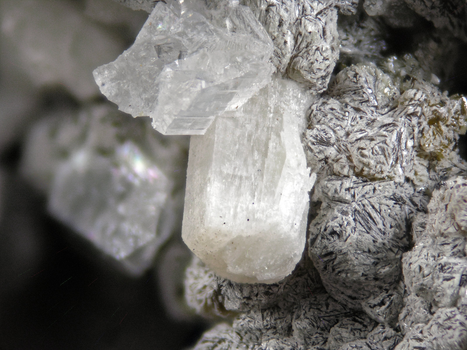 Johnbaumite and Olshanskyite
FOV 9 mm
(Autor: Cesar M. Salvan)