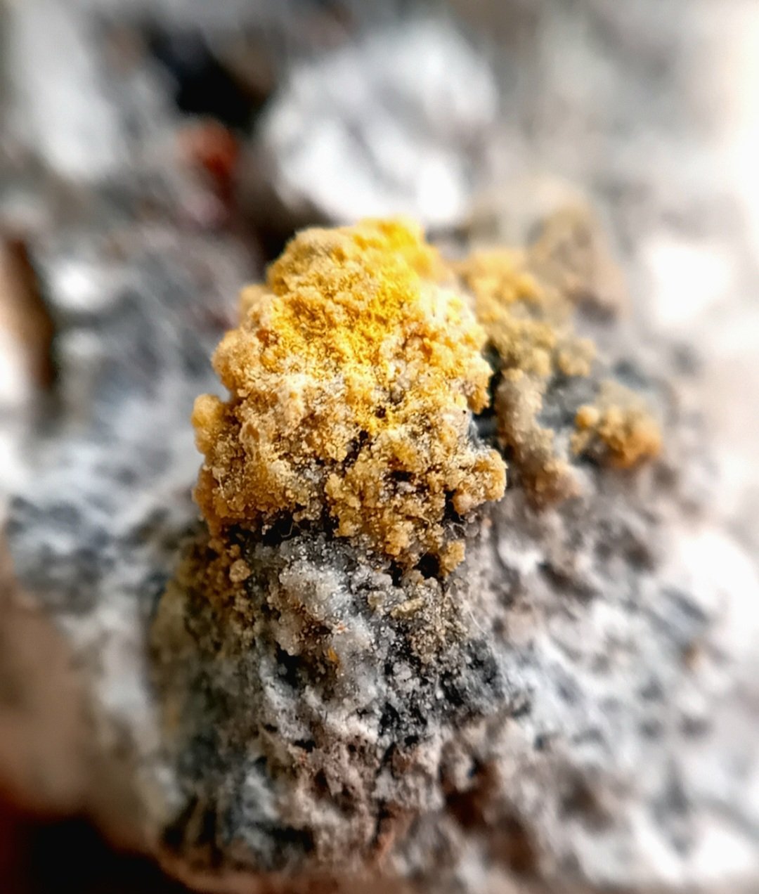 Steropesite
1-2 mm
(Autor: mineralenzo)