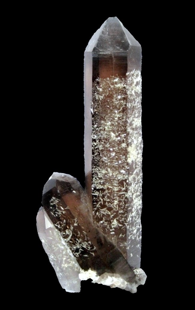 Smoky Quartz, Bertrandite
Specimen size 13 cm
(Autor: Tobi)