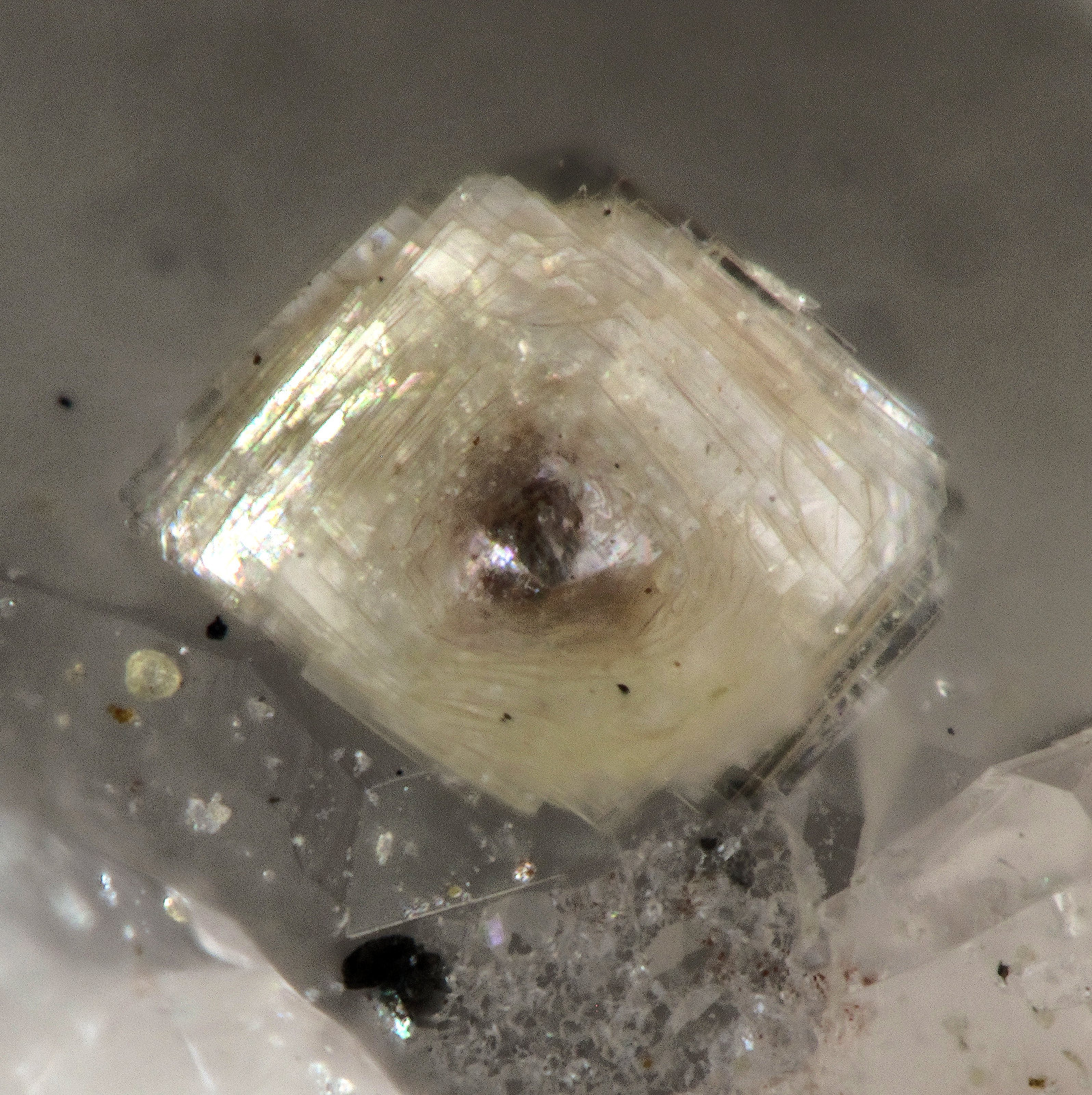 Kettnerite
fov 0.8 mm
(Autor: Jordi Fabre)