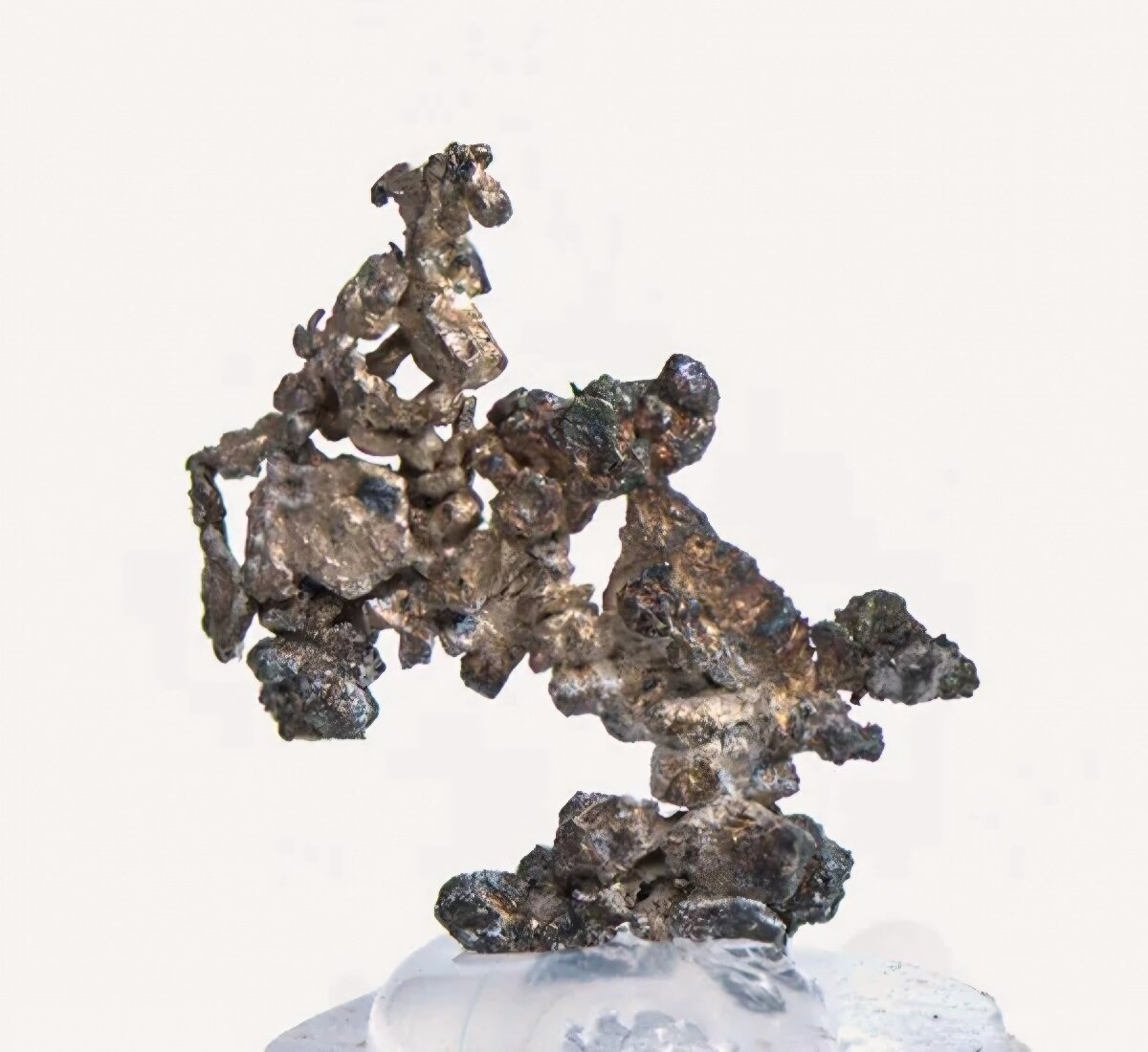 Silver
Distrito minero Kongsberg, Kongsberg, Condado Buskerud, Noruega
Specimen size 1 x 1 cm
(Autor: Tobi)