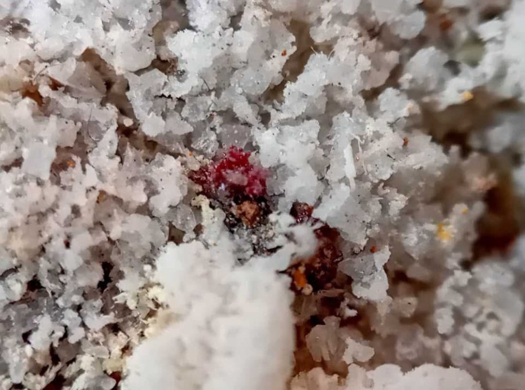 Kremersite
(Autor: mineralenzo)