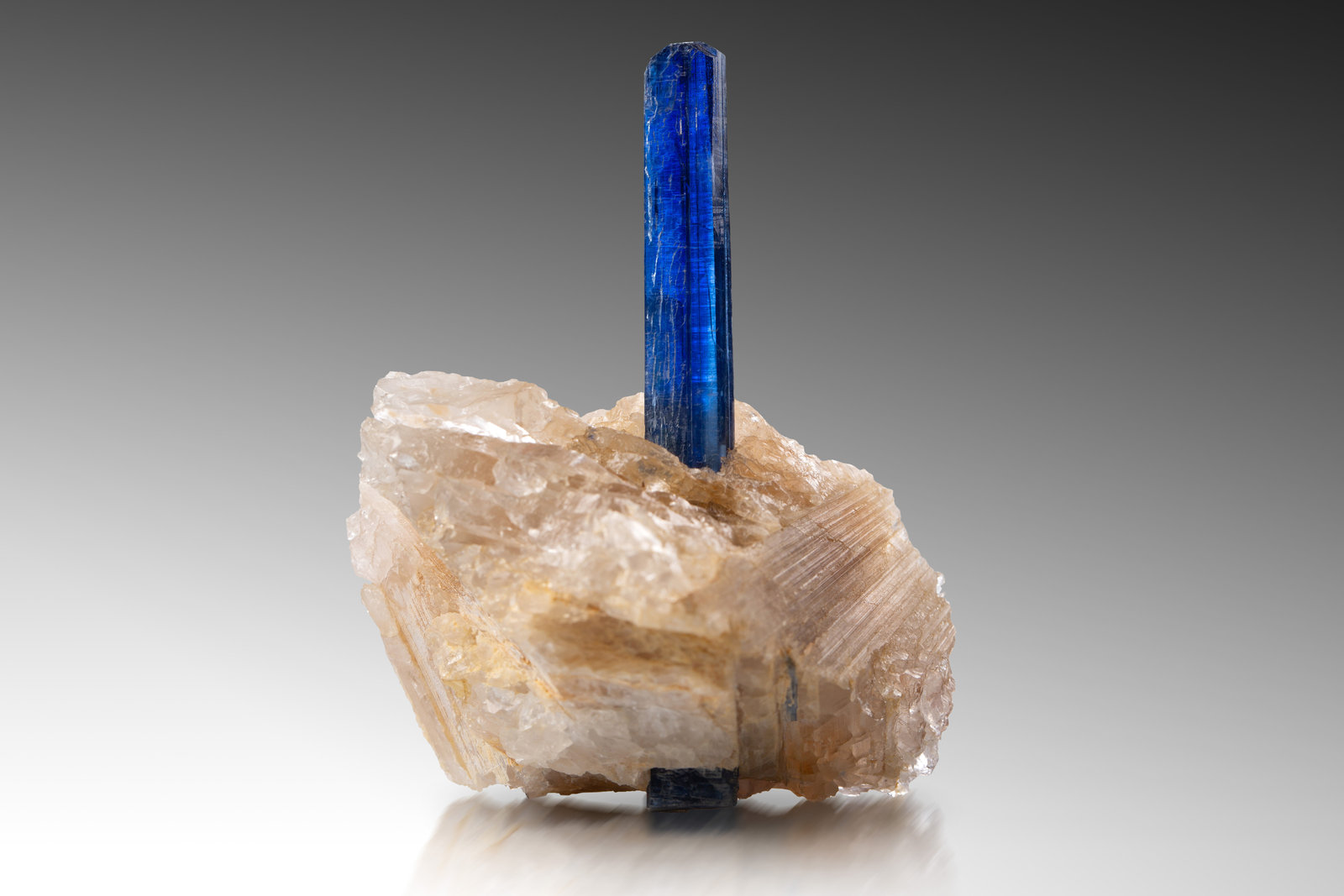 Kyanite
7.5 x 7.5 x 9 cm / main crystal: 8.8 cm
(Autor: MIM Museum)