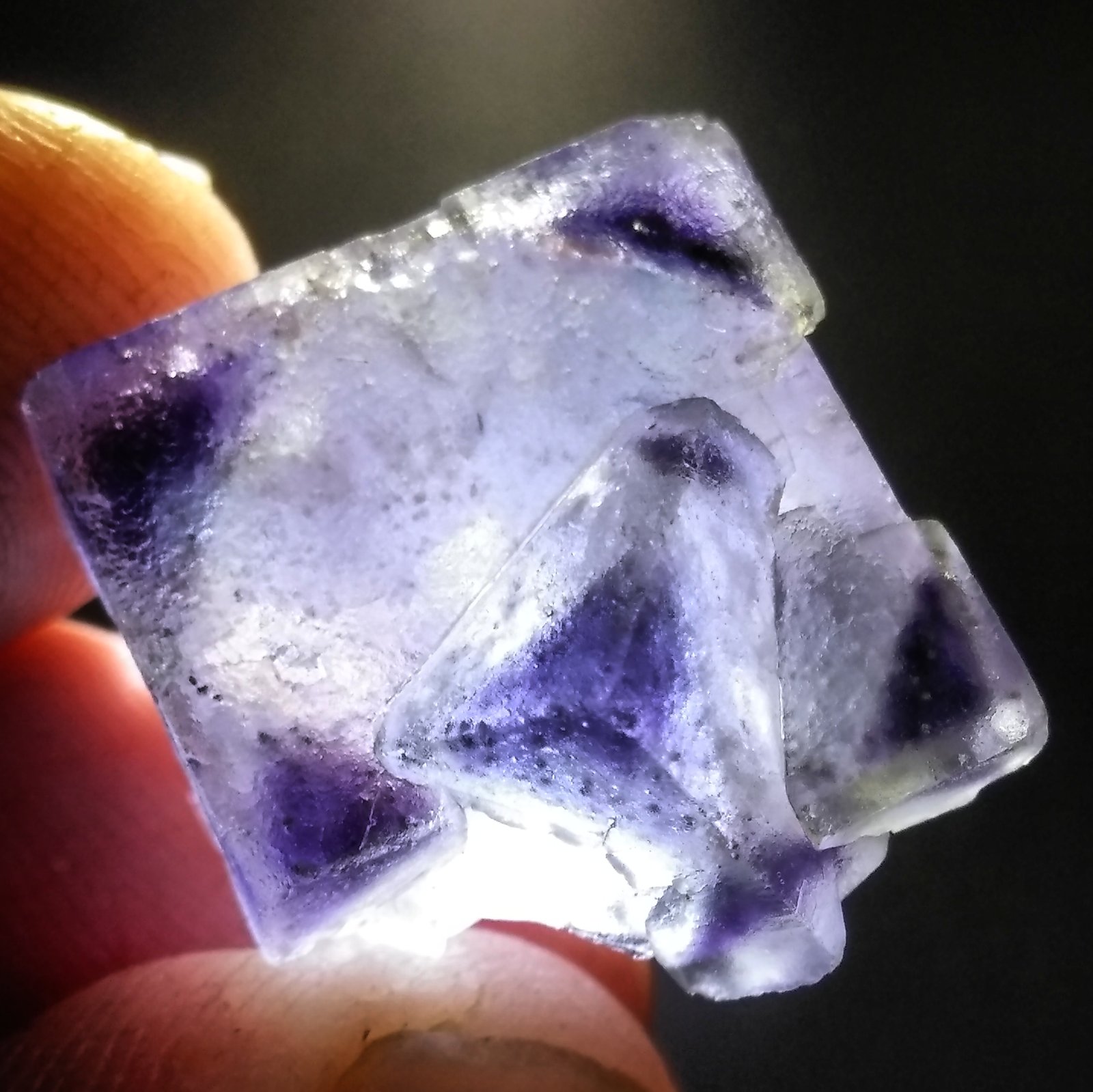 Fluorite
1.1 cm
(Autor: Bob Carnein)