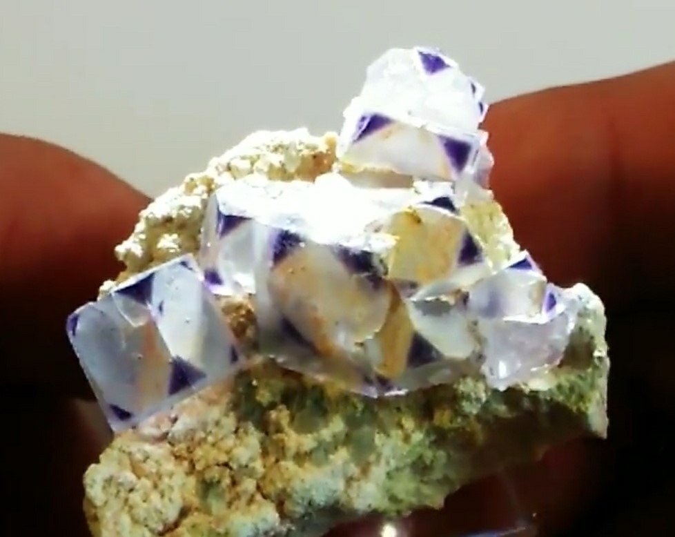 Fluorite
4.1 cm
(Autor: Bob Carnein)