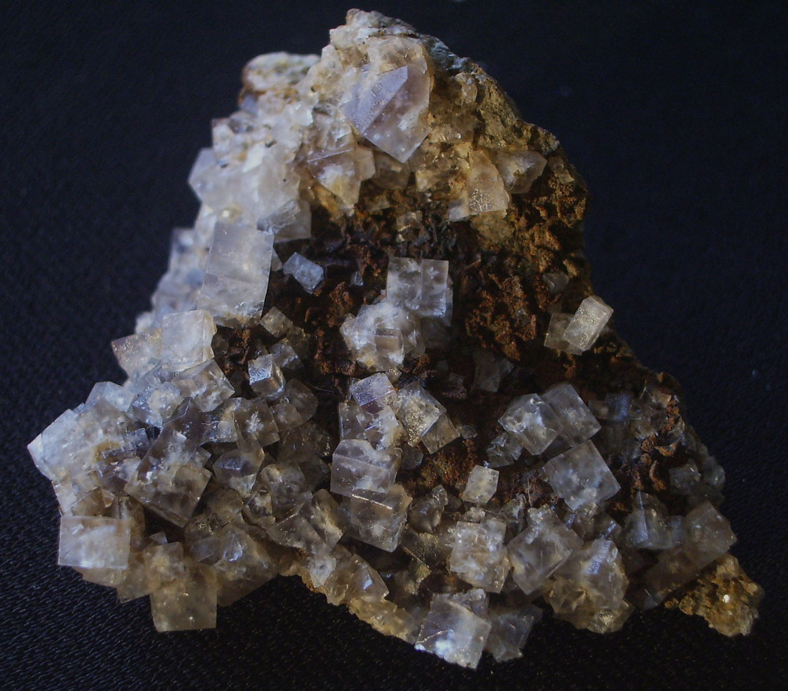 Fluorite
10cm
(Autor: colin robinson)