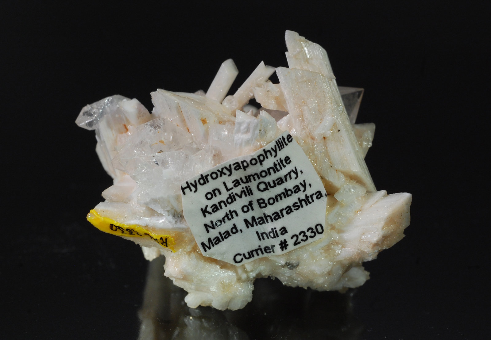 Laumontite
3.1 x 3.9 cm
(Autor: Michael Shaw)