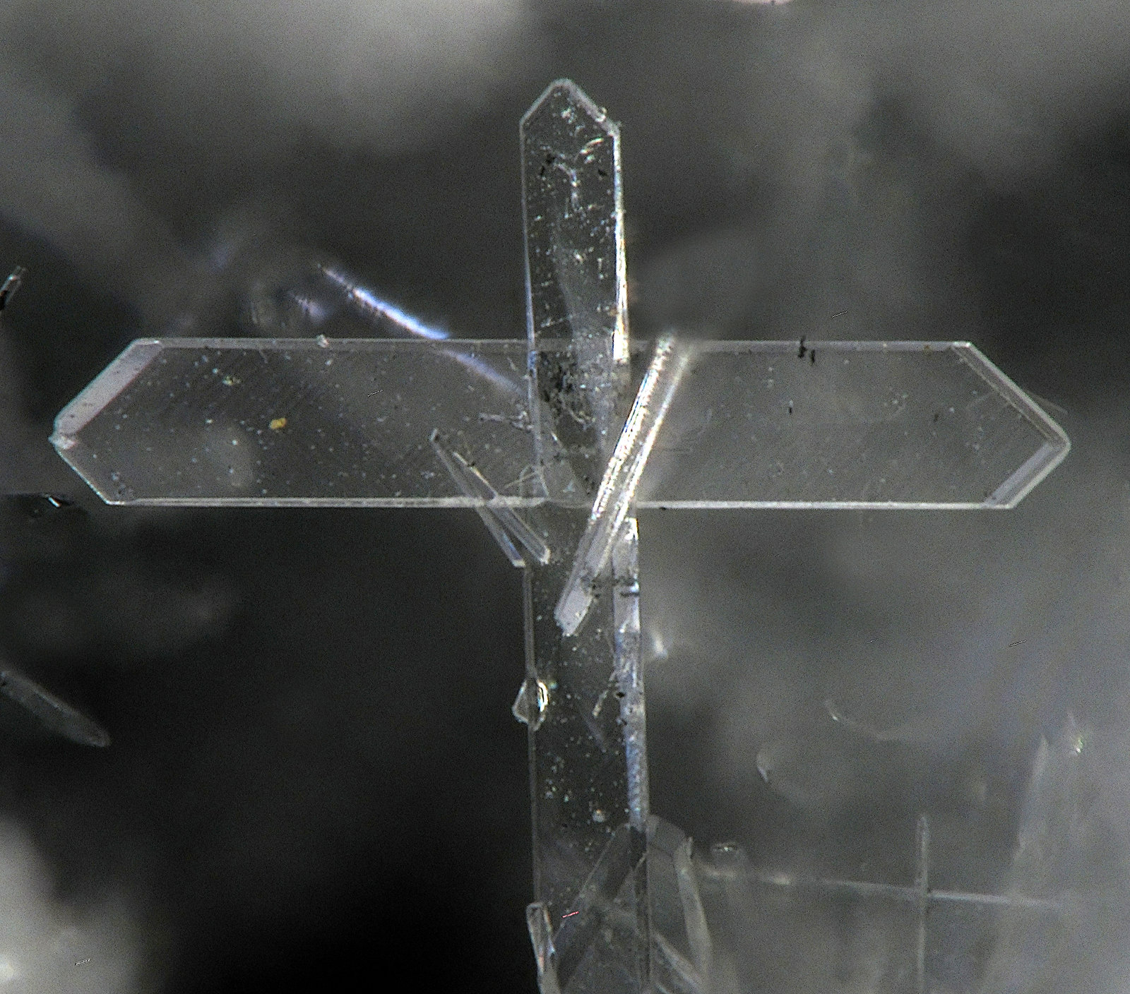 Laurionite
FOV 1.6 mm.
(Autor: FMF Forum)