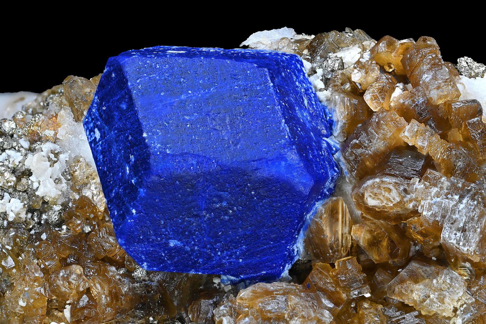 Lazurite with Phlogopite
14 x 6.5 x 8.5 cm / main crystal: 4.6 cm.
(Autor: MIM Museum)