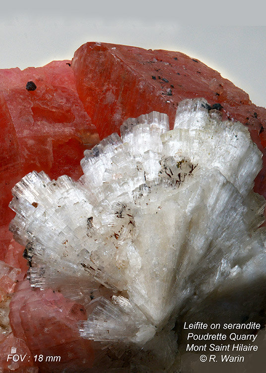 Leifite with Serandite
(Autor: Roger Warin)
