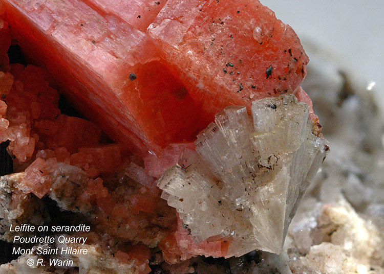 Leifite with Serandite
(Autor: Roger Warin)
