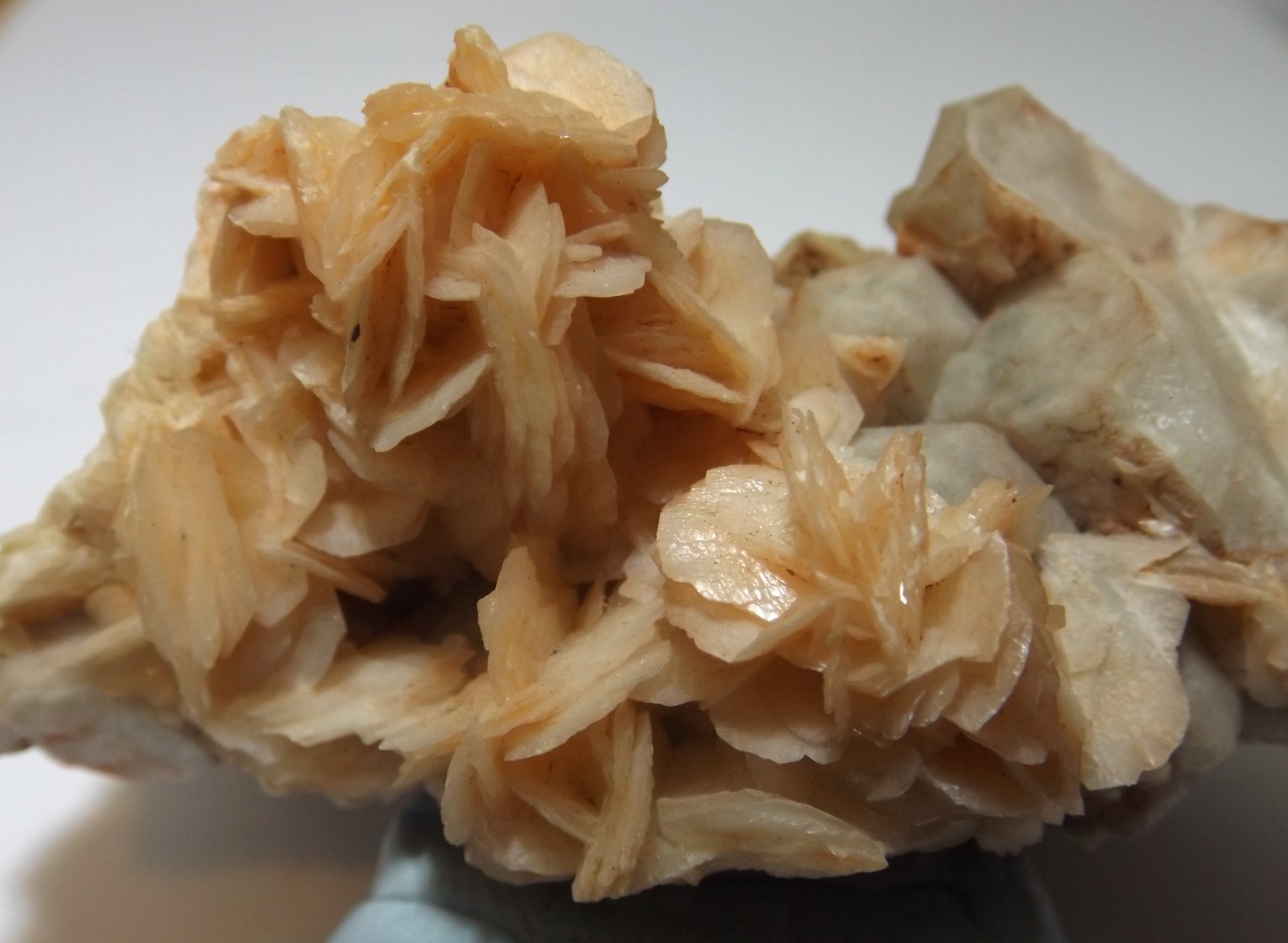 Calcite
10cm x 8cm
(Autor: markbeckett)
