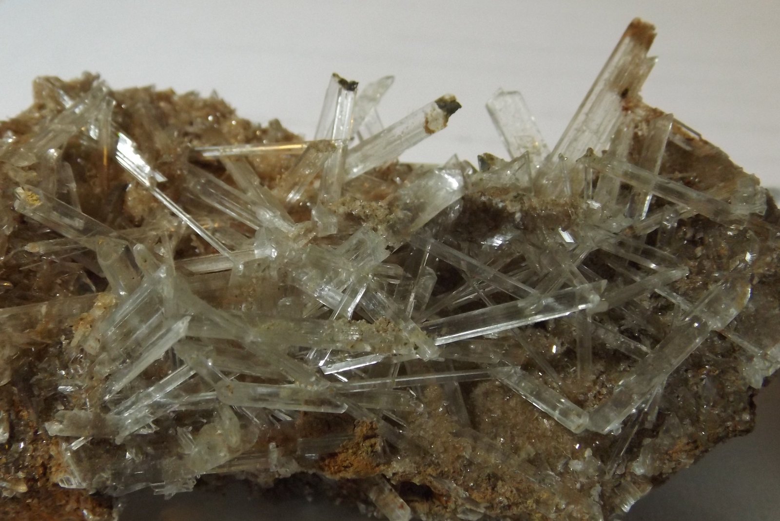 Gypsum
7cm x 4cm
(Autor: markbeckett)