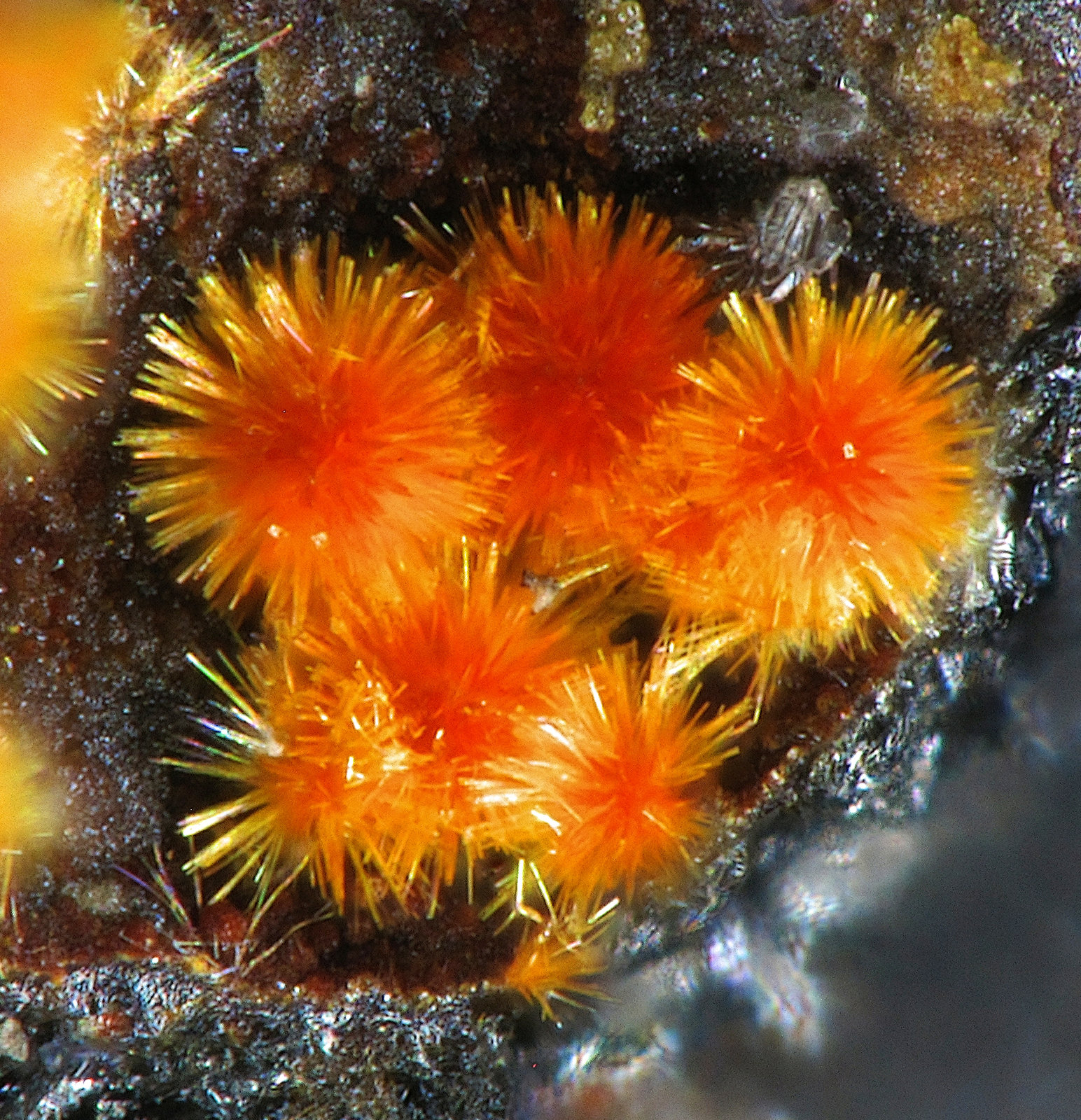 Ludlockite
FOV 0.6 mm.
(Autor: FMF Forum)