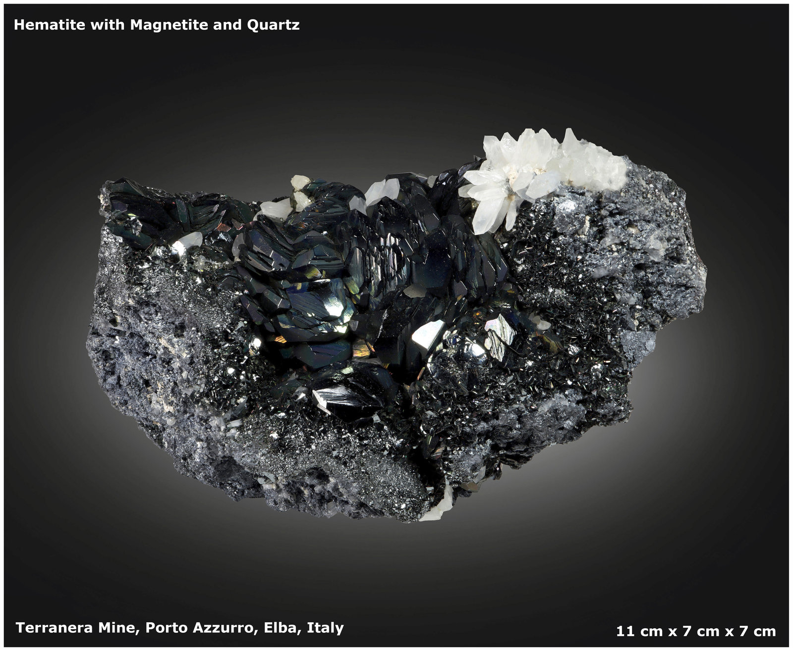 Hematite with Magnetite and Quartz
11 cm x 7 cm x 7 cm
(Autor: silvia)