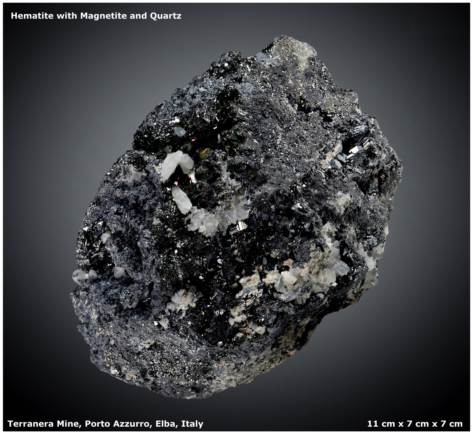 Hematite with Magnetite and Quartz
11 cm x 7 cm x 7 cm
(Autor: silvia)