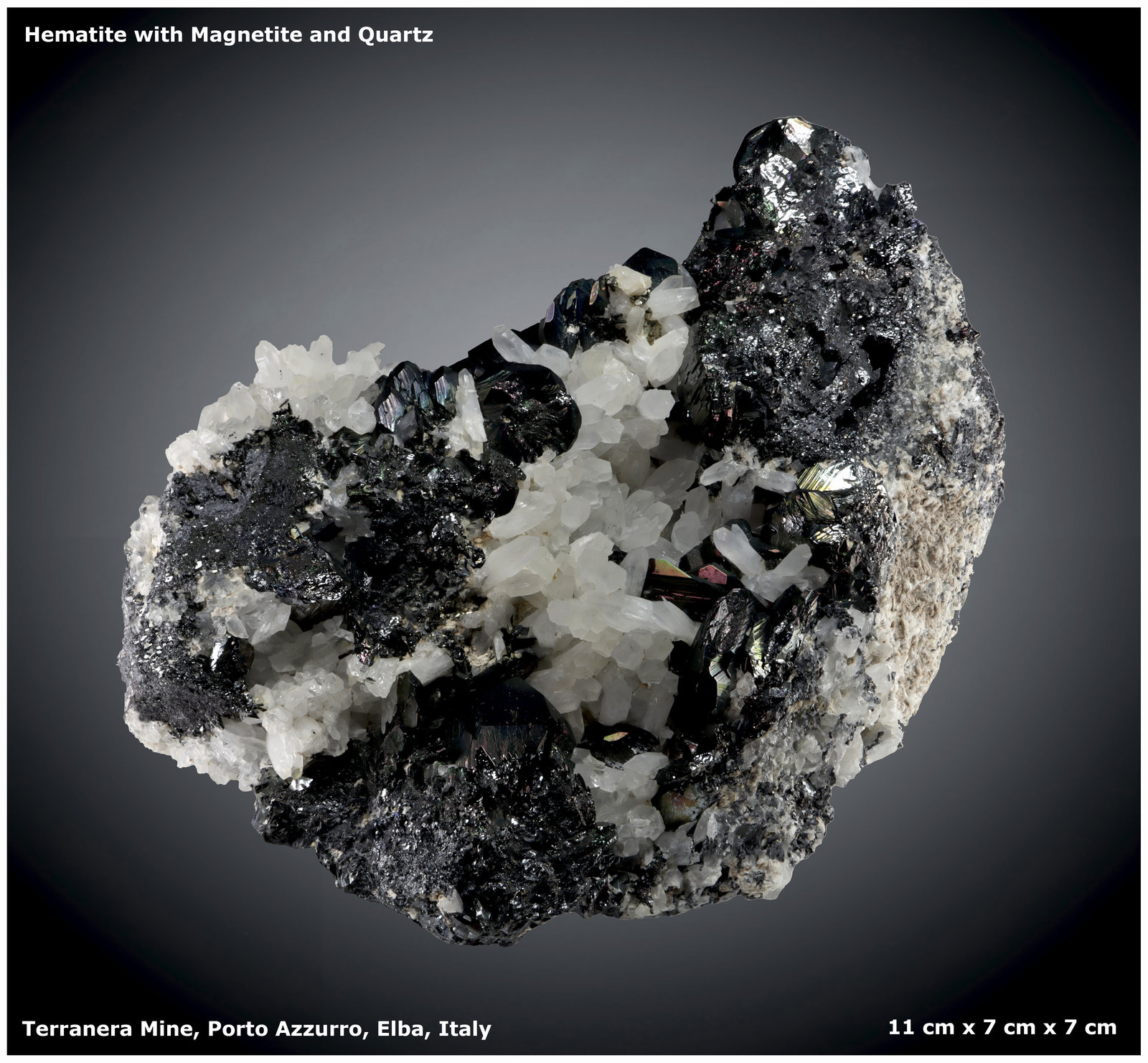Hematite with Magnetite and Quartz
11 cm x 7 cm x 7 cm
(Autor: silvia)