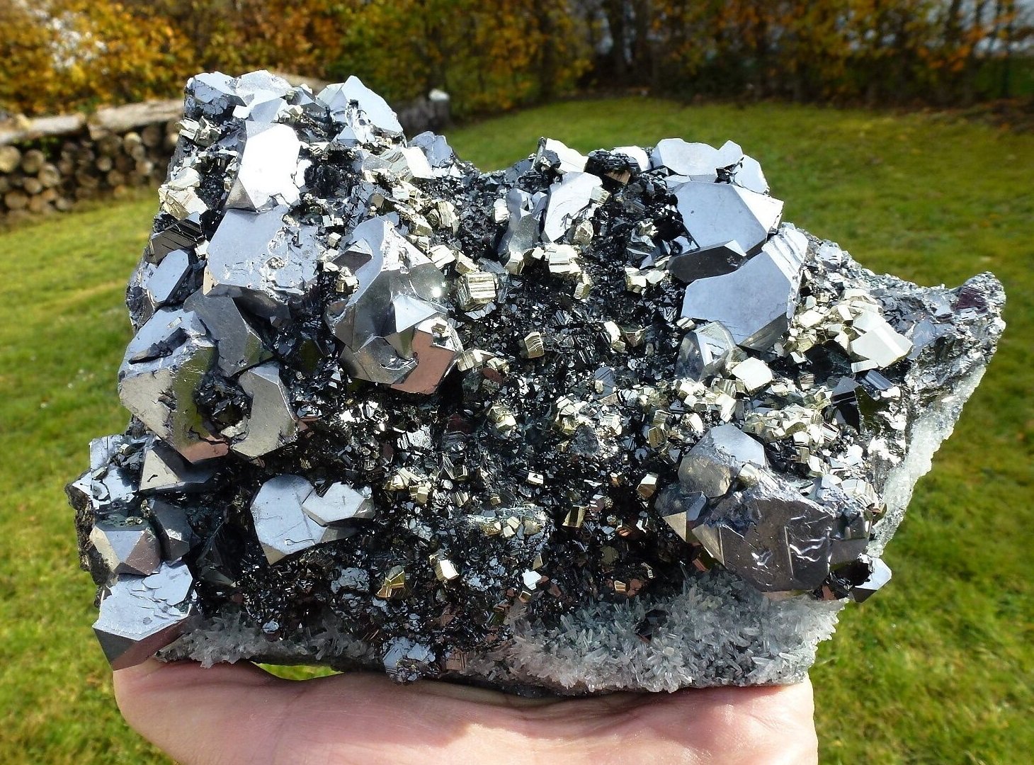 Galena, Pyrite, Sphalerite, Quartz
Specimen size 19 x  12 x 7 cm, largest galena crystals ~ 2 cm
(Autor: Tobi)