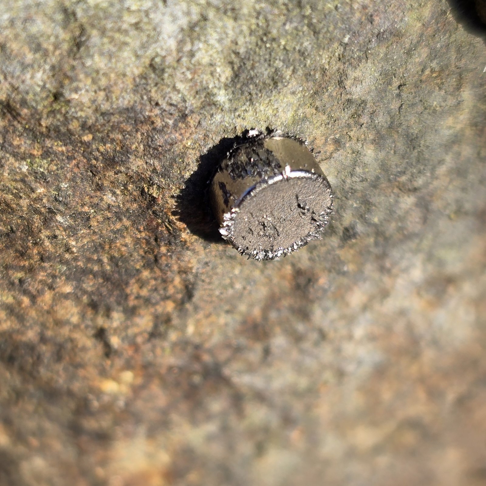 ironstone nodule
10 cm
(Autor: Forrestblyth)