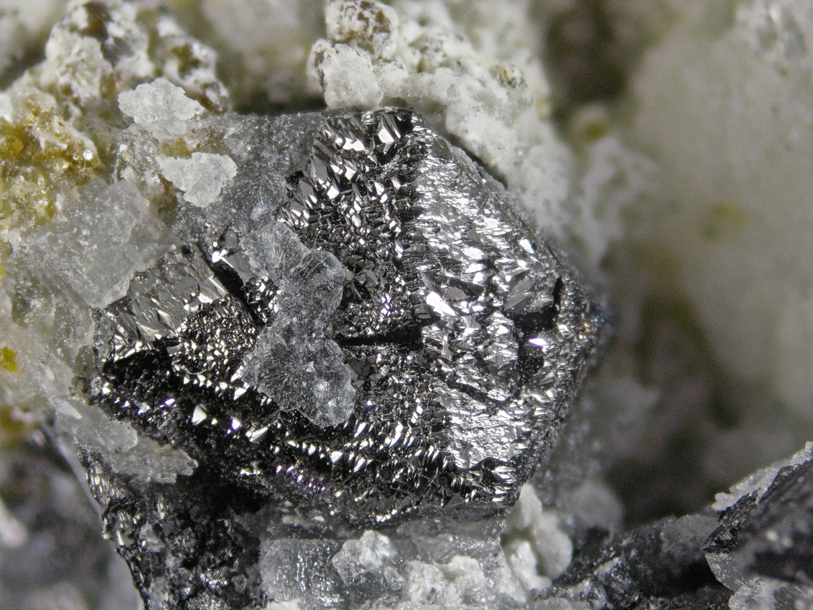 Magnetite
FOV 1.3 cm
(Autor: Cesar M. Salvan)