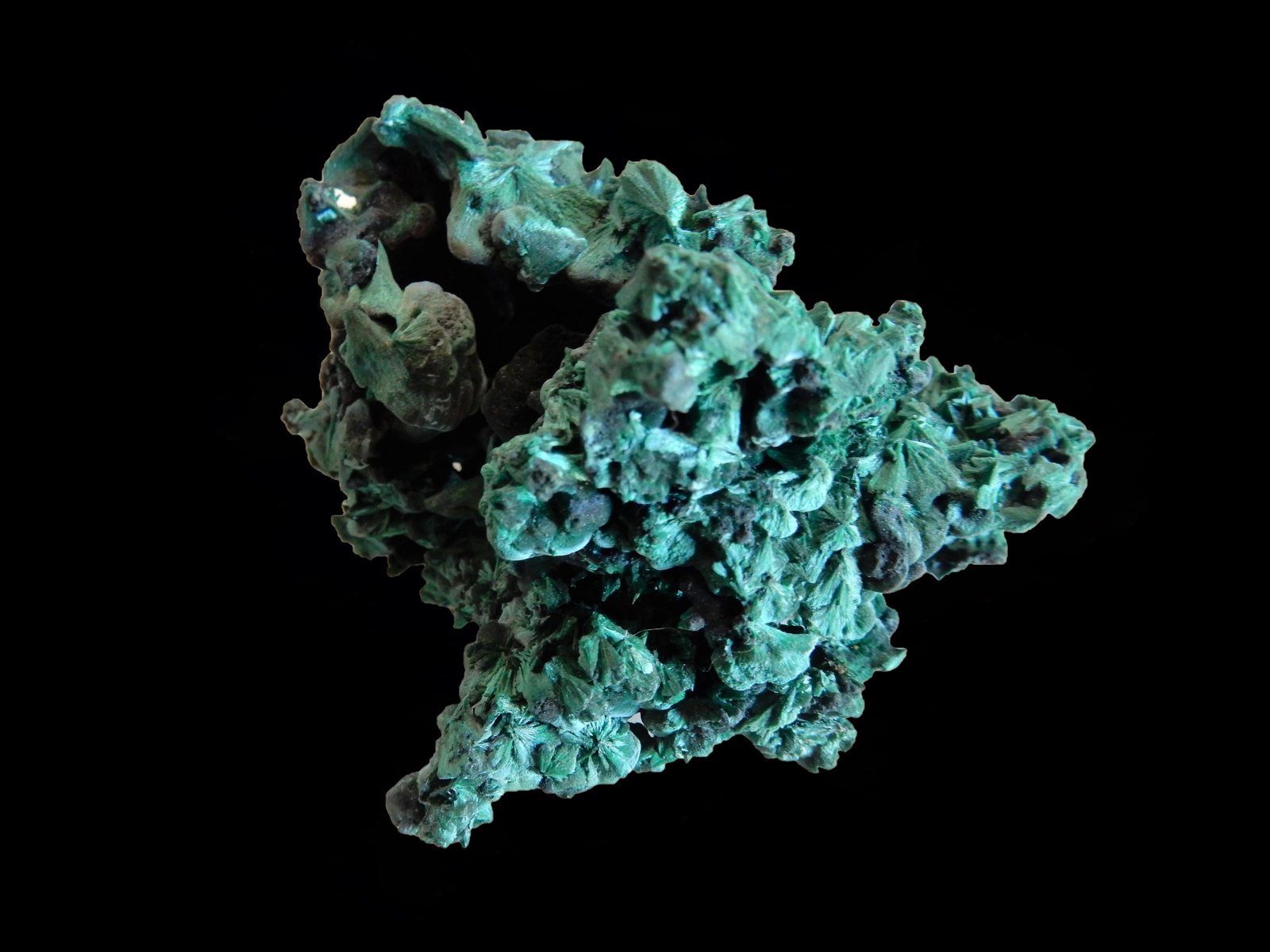 Malachite<br />{LOCALITAT}