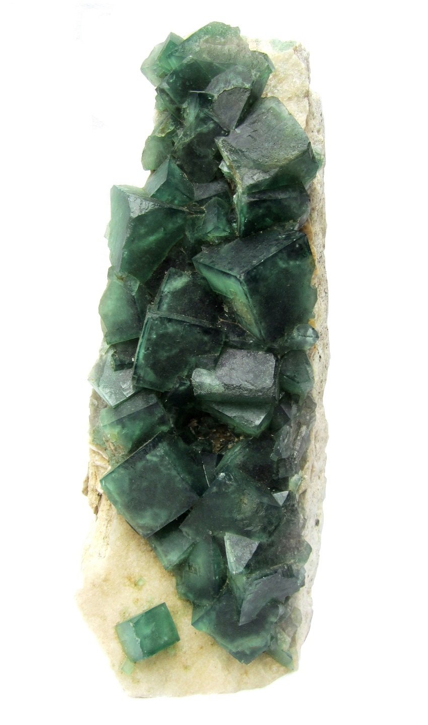 Fluorite
Specimen height 28 cm, largest crystal 3,5 cm
(Autor: Tobi)