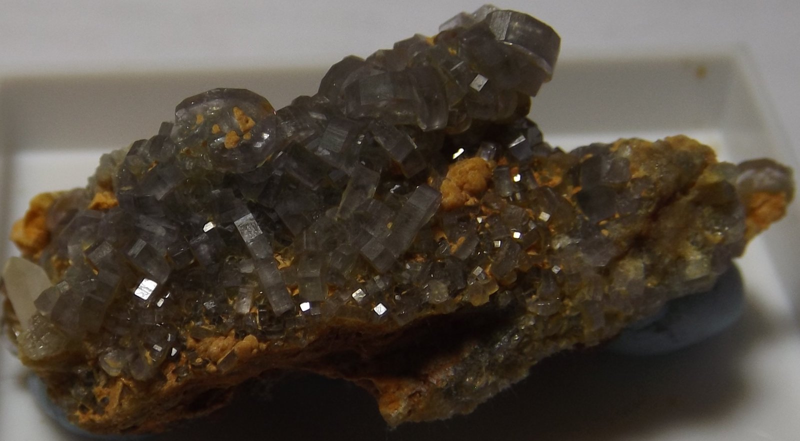 Fluorapatite
3.1cm x 1.5cm
(Autor: markbeckett)