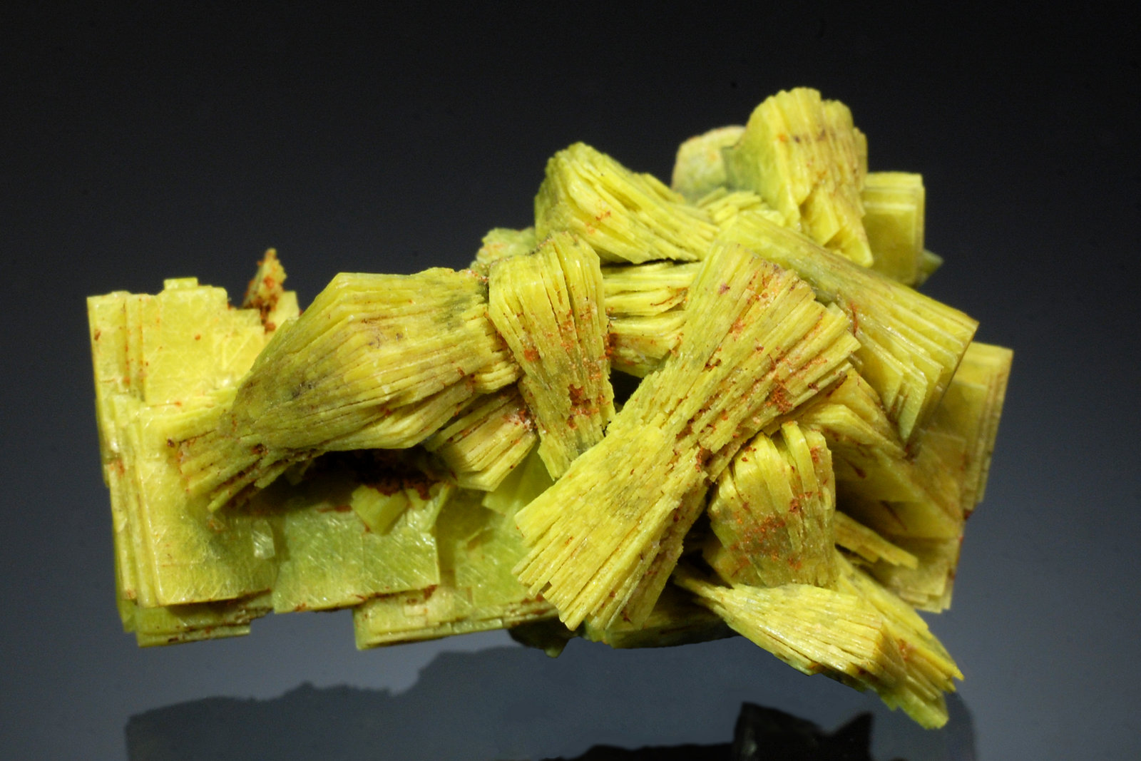 Meta-Autunite
1.6 x 3.0 cm
(Autor: Michael Shaw)