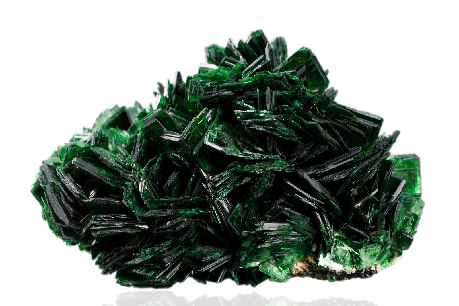 Metatorbernite
Musonoi Mine, Kolwezi, Kolwezi District, Lualaba, Katanga Copper Crescent, Katanga (Shaba), Congo DR (Zaire)
10 x 7.5 x 5.5 cm / main crystal: 2 cm
(Autor: mim Museum)