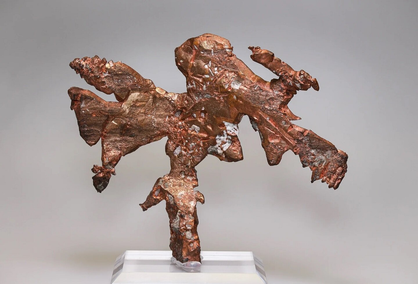 Copper
Mina Caledonia, Mass City, Condado Ontonagon, Michigan, USA
14,5 x 12 cm
(Autor: Tobi)