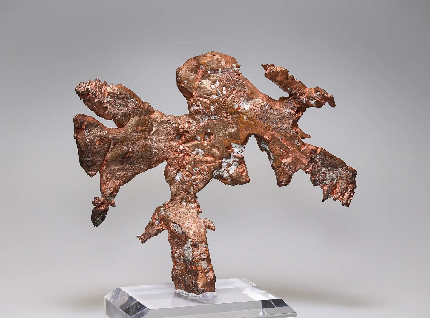 Copper
Mina Caledonia, Mass City, Condado Ontonagon, Michigan, USA
14,5 x 12 cm
(Autor: Tobi)
