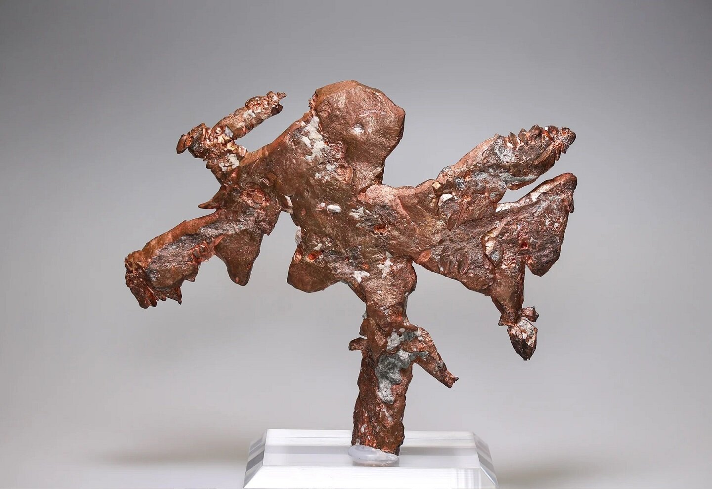 Copper
Mina Caledonia, Mass City, Condado Ontonagon, Michigan, USA
14,5 x 12 cm
(Autor: Tobi)