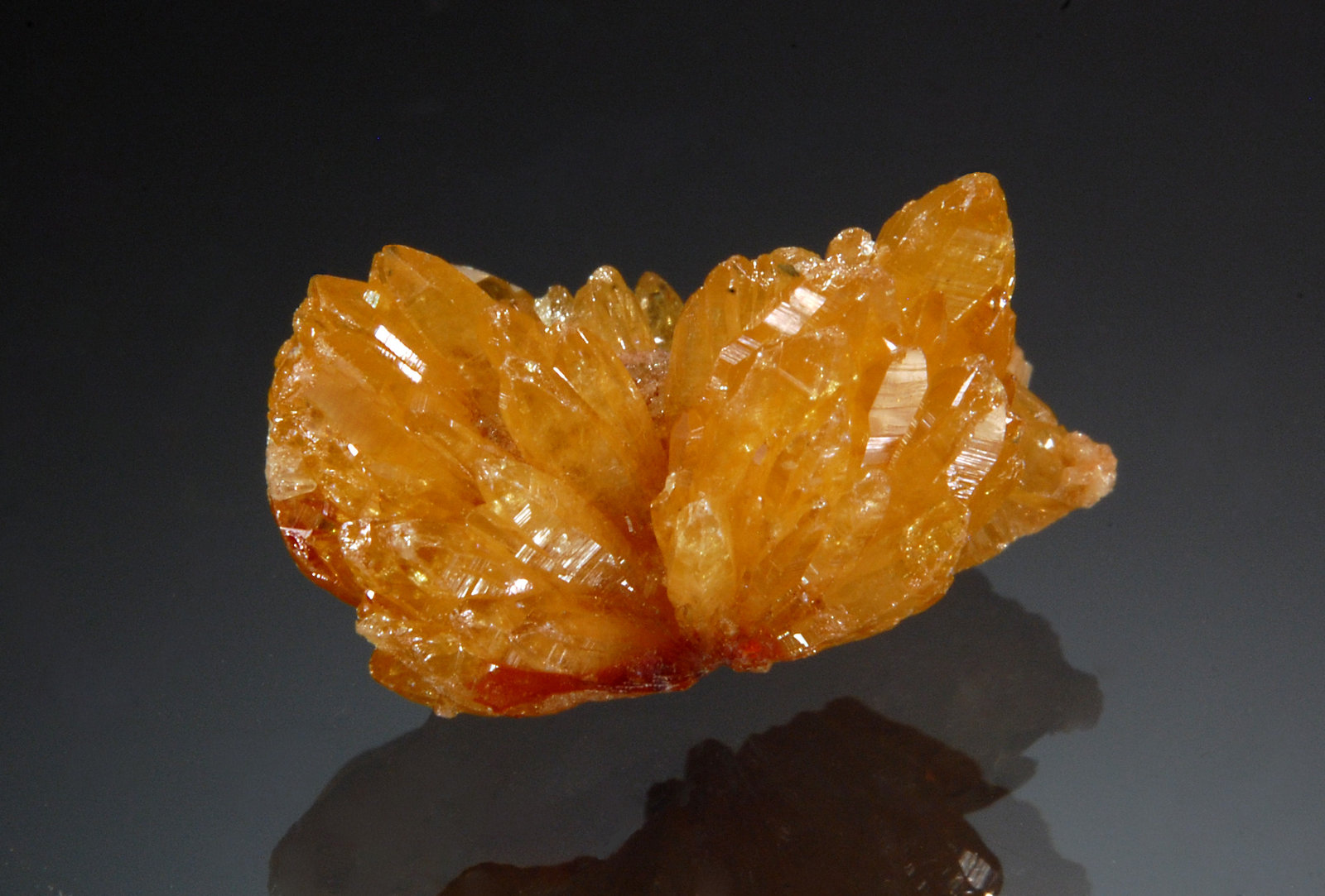 Mimetite
1.5 x 2.0 cm
(Autor: Michael Shaw)