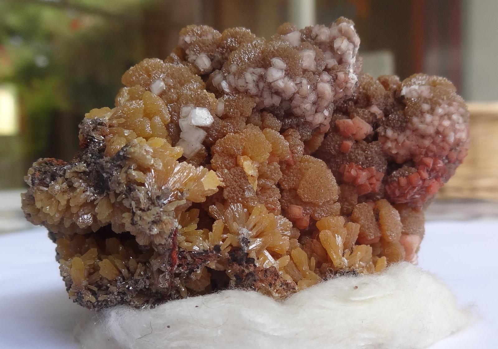 Mimetite, Dolomite and Calcite on Limonite.
7,5x5x5cm
(Autor: Dave van Bladel)