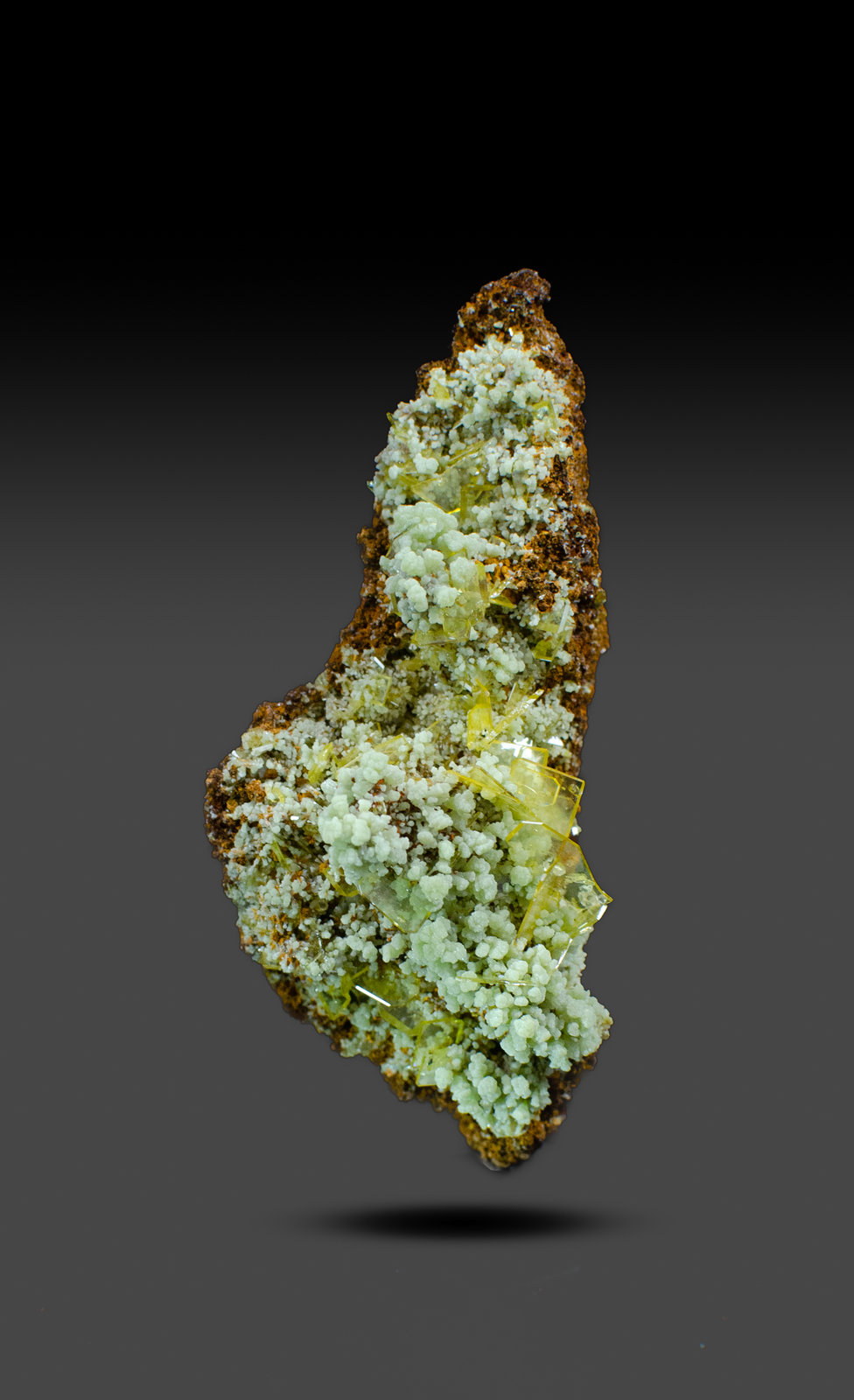 Wulfenite on Mimetite
8.5cm x 4cm x 3cm
(Autor: k-m.minerals)