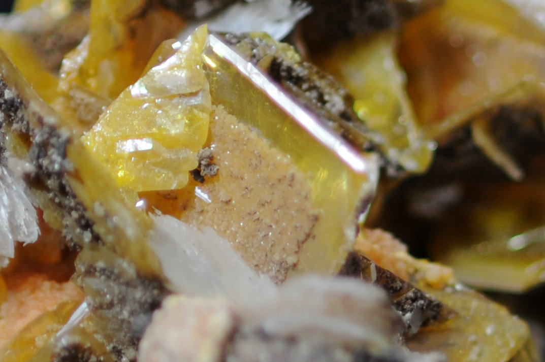 Barite on Wulfenite and Mimetite
5.7 x 4.6 x 3.4 cm
(Autor: steven calamuci)
