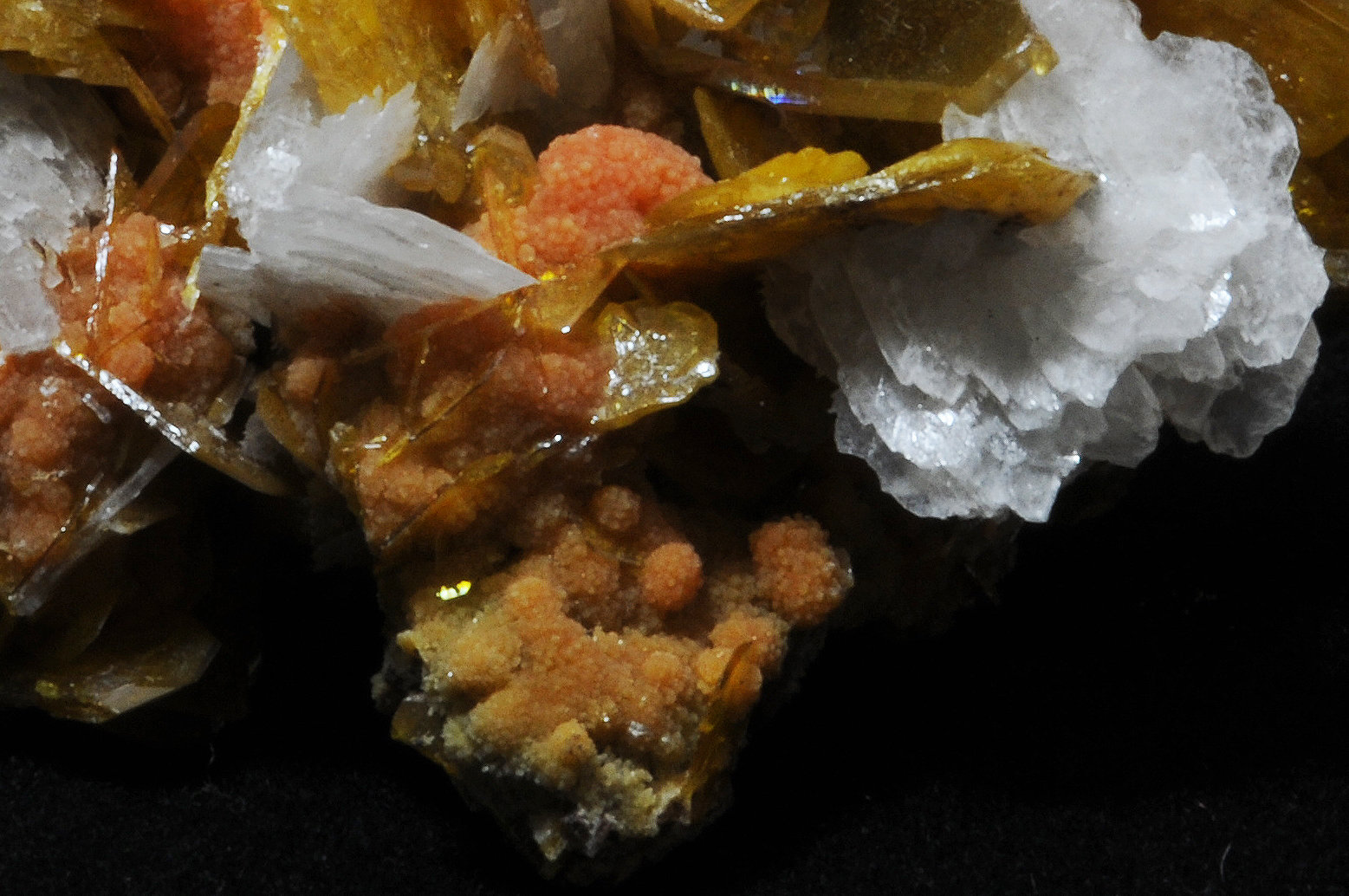 Barite on Wulfenite and Mimetite
5.7 x 4.6 x 3.4 cm
(Autor: steven calamuci)