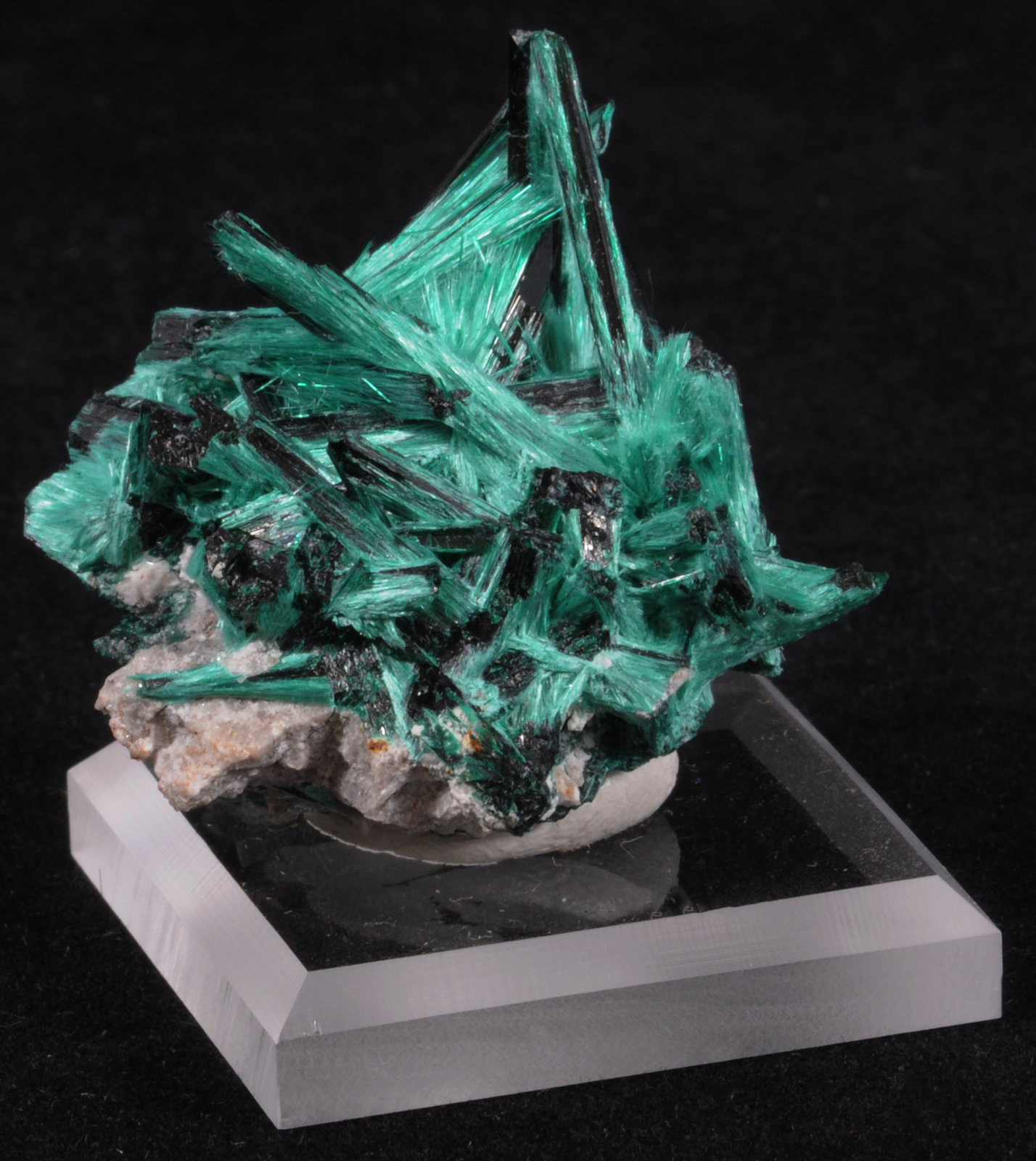 Brochantite
3.5 x 3.3 x 2.0 cm
(Autor: steven calamuci)