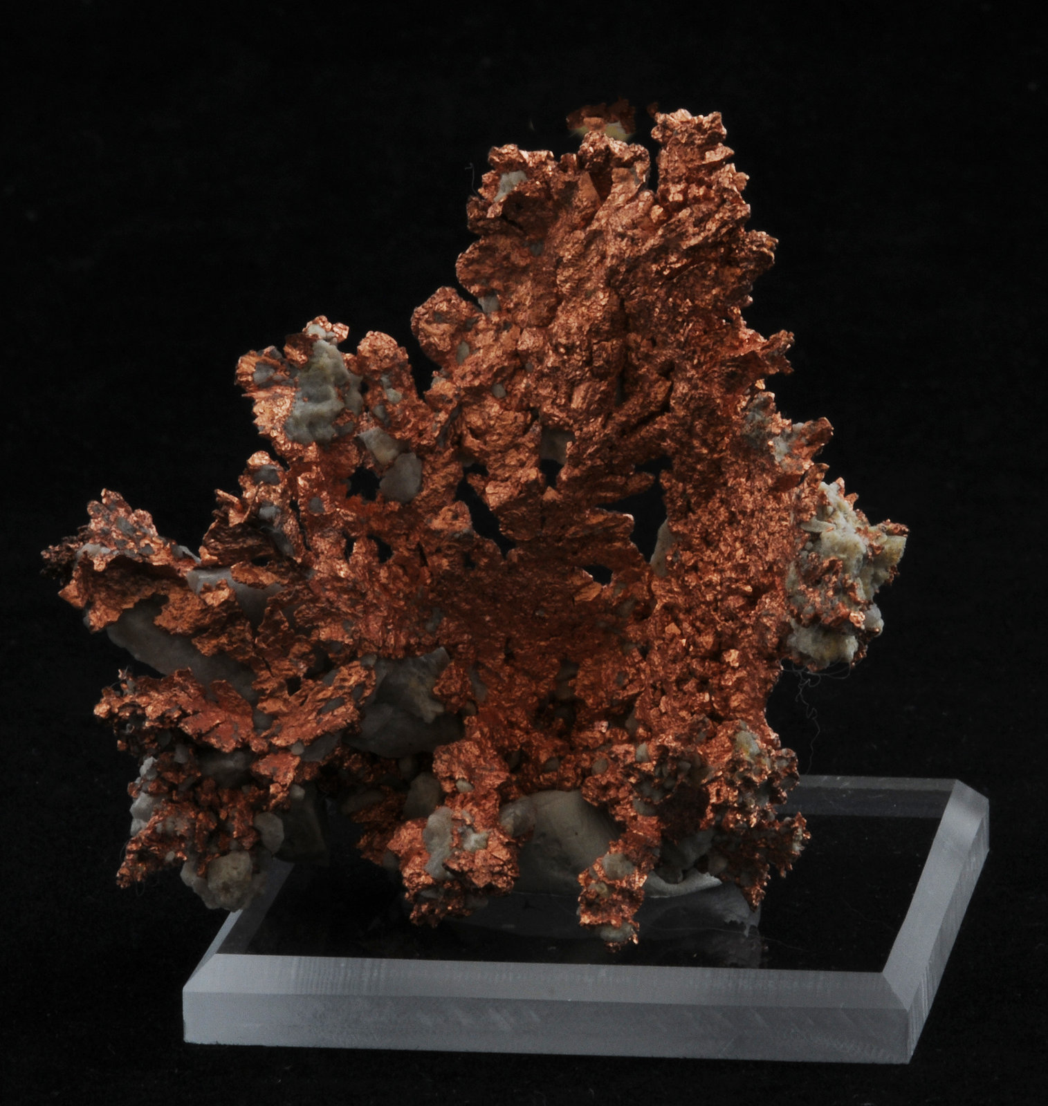 Copper
5.6 x 4.1 cm
(Autor: steven calamuci)